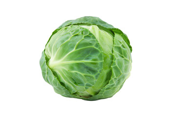 Fototapeta premium Green cabbage with water drops on the leaves, isolated on white background.