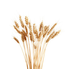 A stunning bouquet of golden wheat showcasing nature's beauty and agricultural richness in a vibrant display.