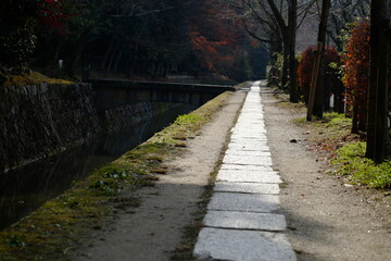 真っ直ぐに伸びる石畳の道