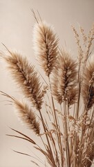 Soft beige background with fluffy dried flowers. 3D Pampas grass, boho calm floral design. High contrast