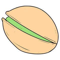 pistachio nut illustration hand drawn isolated vector
