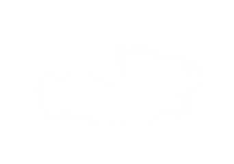 Cloud Isolated Background,Abstract Sky with Fluffy White Cloudy,Nature illustration elements for Spring,Summer,Group of Smoke, Cloud bubble,Cloud Comping Shape