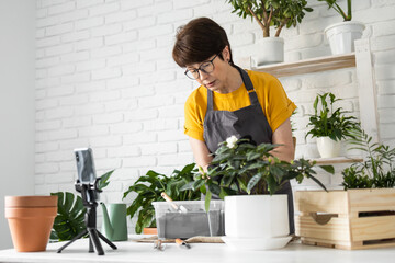 Female blogger sits in front of smartphone camera on tripod records instructional tutorial video for her blog shoots process of replanting flowers and green plants full of soil enjoys botanic hobby