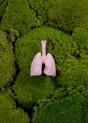 Clean and healthy lungs are natural