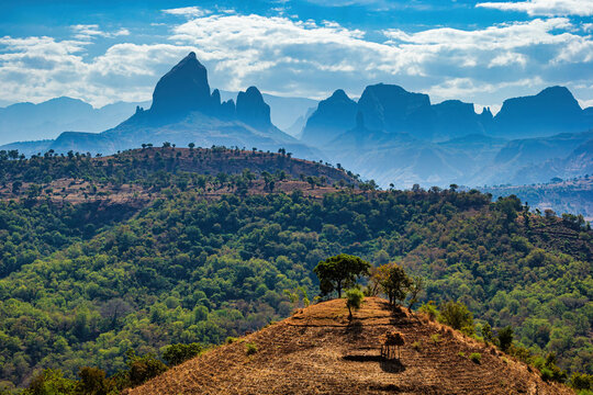 Amazing panorama of the Simien Mountains National Park in Ethiopia, Africa
