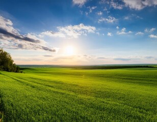 Obraz premium Wide and expansive spaces featuring elements like a wide horizon, open field, and panoramic view representing vastness, freedom, and open spaces.