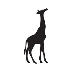 Fototapeta premium Animal vector art Silhouette illustration eps
