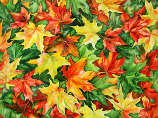 Fototapeta premium dry maple leaf in fall autumn leaves weather warm picnic vacation in park natural tree environment sadness aesthetic holidays oak golden outdoor red watercolor background