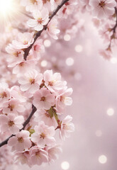 Obraz premium Sakura. Branches with pink flowers on a plain background for publications.