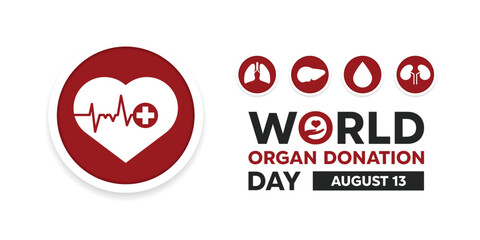 World Organ Donation Day. Heart, lungs, liver, blood and kidney. Great for cards, banners, posters, social media and more. White background.
