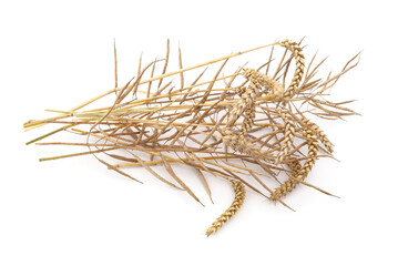 Fototapeta premium Dry ears of wheat and pods of rapeseed.