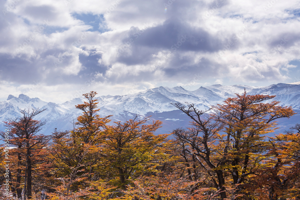 Canvas Prints autumn in mountains