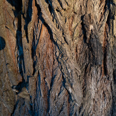 texture 1:1