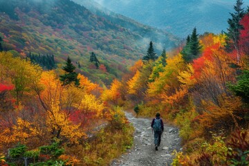 Obraz premium A hiker walks along a trail surrounded by vibrant autumn foliage, capturing the beauty of fall in the forest.