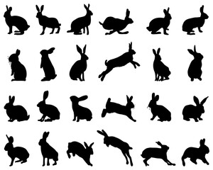 Black silhouettes of rabbits on white background