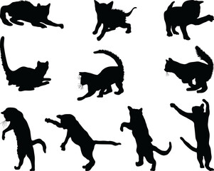 Black silhouettes of cats o