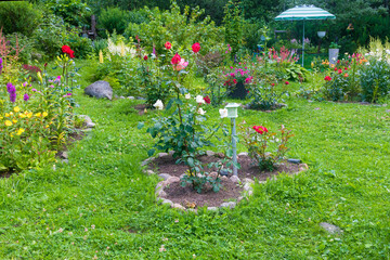 A fragment of a summer garden plot with blooming flowers.