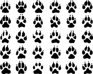 Fototapeta premium Black print of dogs paws 