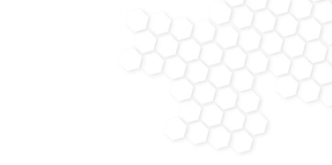 Abstract background with hexagon,Bright hexagon wallpaper or background,Realistic geometric mesh cells texture.hexagon pattern white abstract background.
