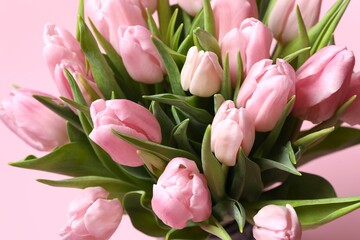 Beautiful fresh tulips on color background