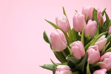 Obraz premium Beautiful fresh tulips on color background