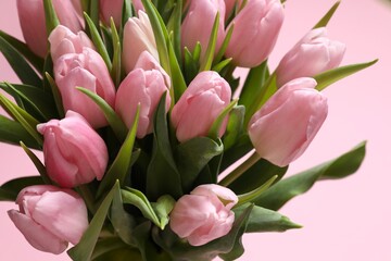 Beautiful fresh tulips on color background