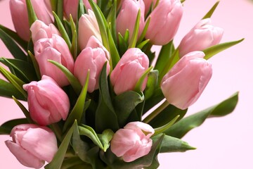 Fototapeta premium Beautiful fresh tulips on color background