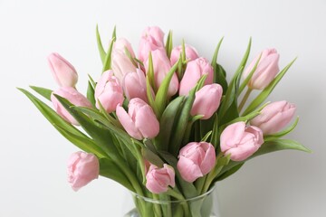 Beautiful fresh tulips on color background