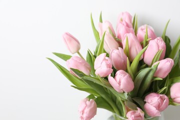 Beautiful fresh tulips on white background