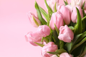 Fototapeta premium Beautiful fresh tulips on color background