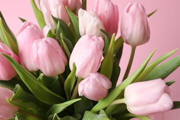 Beautiful fresh tulips on color background