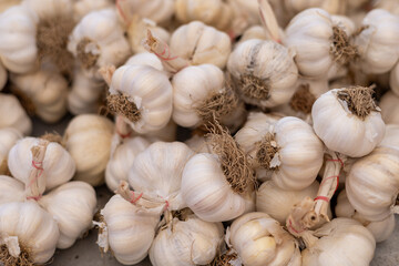 pile of fresh garlic on market, store or bazaar counter