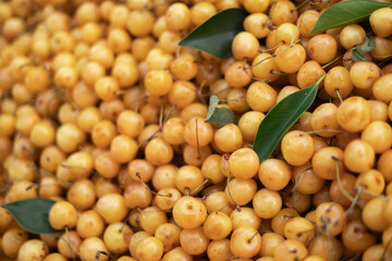 Many Sweet ripe yellow cherries as a background