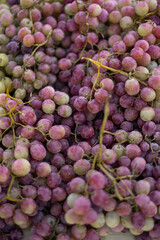 Purple and green grapes sold on bazaar or market