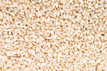 Wheat berries background, high resolution
