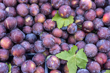 juicy purple plums on the counter of a market