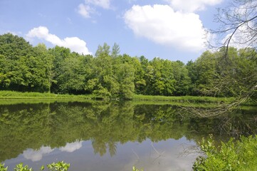Bretagne, ville, Rennes, parc des bois, parc des Gayeulles, étang, arbres, paysage, printemps