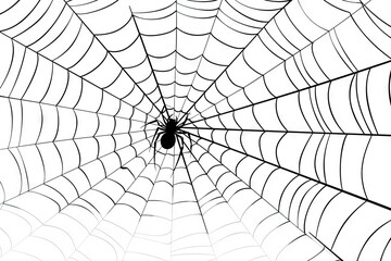 Obraz premium spider web design, black and white, line art, simple, clean background