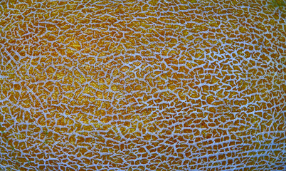 fragment of melon pattern as background for artists