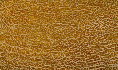 fragment of melon pattern as background for artists