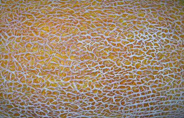 fragment of melon pattern as background for artists