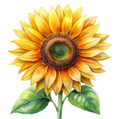 A watercolor painting of a yellow sunflower with a green leaf. The painting has a bright and cheerful mood, with the sunflower being the main focus of the image