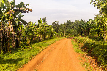 Obraz premium Rural road near Budadiri village, Uganda