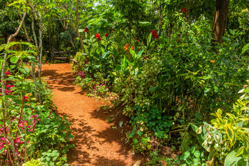 Small garden near Sipi village, Uganda