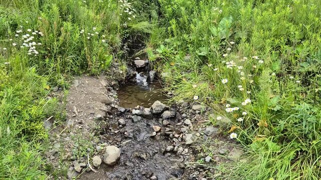A view of Val Duron near Campitello di Fassa - Val di Fassa - Italy