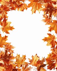 Fototapeta premium A vibrant frame of orange maple leaves with a blank white center, perfect for autumn-themed designs and creative projects.