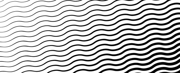 Black wavy lines that go from thin to thick. Striped waves drawn in ink. Abstract geometric background with monochrome water surface texture. Vector illustration of diagonal curved lines.