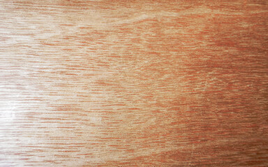 Wooden boards wall or door texture pattern in Mexico.