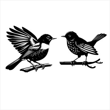 recommend clip art: Black and white Blue Jay bird vector design 