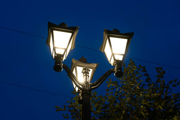 Vintage street lamp on a background of trees, in the evening in the city